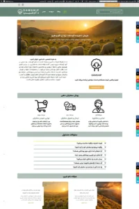damship_webp